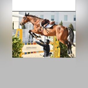 @ JLS72:     Equestrian clothing Sale!! Make an Offer